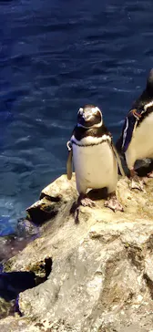 すみだ水族館に投稿された画像（2024/10/25）