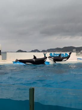 鴨川シーワールドに投稿された画像（2024/10/25）