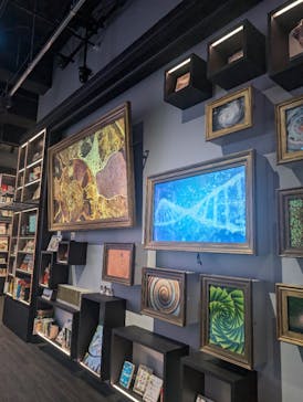 AQUARIUM × ART　atoa×神戸どうぶつ王国に投稿された画像（2024/10/25）
