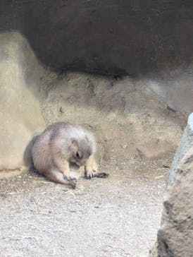 AQUARIUM × ART　atoa×神戸どうぶつ王国に投稿された画像（2024/10/25）