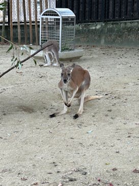 名古屋市東山動植物園に投稿された画像（2024/10/25）