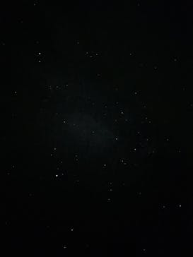 ピッキオ知床に投稿された画像（2024/10/25）