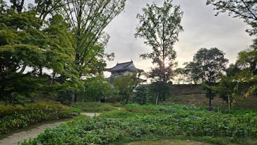 元離宮二条城に投稿された画像（2024/10/25）