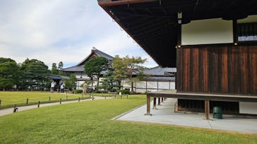 元離宮二条城に投稿された画像（2024/10/25）