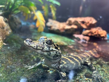 天王寺動物園に投稿された画像（2024/10/25）