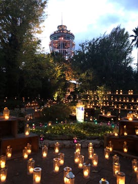 江の島シーキャンドルに投稿された画像（2024/10/25）