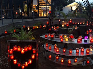 江の島シーキャンドルに投稿された画像（2024/10/25）