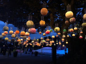 江の島シーキャンドルに投稿された画像（2024/10/25）