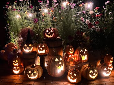 横浜イングリッシュガーデンに投稿された画像（2024/10/25）