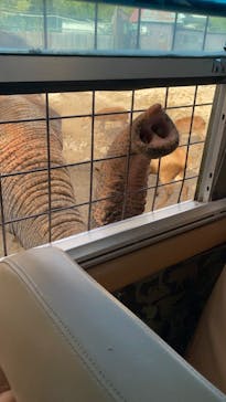 那須サファリパークに投稿された画像（2024/10/25）