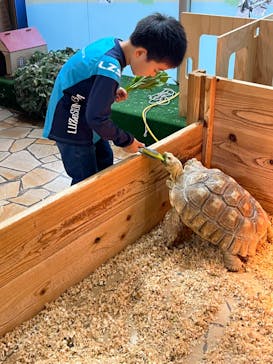 いきもの探検隊上尾に投稿された画像（2024/10/25）