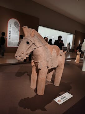 挂甲の武人 国宝指定50周年記念 特別展「はにわ」@東京国立博物館 平成館に投稿された画像（2024/10/25）