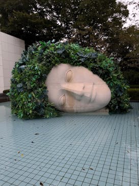 彫刻の森美術館に投稿された画像（2024/10/25）