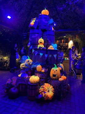 横浜イングリッシュガーデンに投稿された画像（2024/10/25）