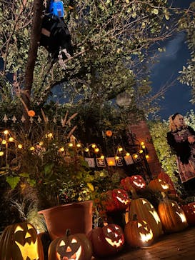 横浜イングリッシュガーデンに投稿された画像（2024/10/25）