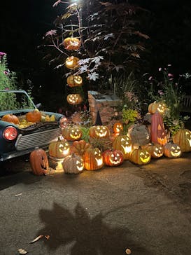 横浜イングリッシュガーデンに投稿された画像（2024/10/25）