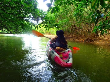 石垣島 ADVENTURE PiPi（イシガキジマアドベンチャーピピ）に投稿された画像（2024/10/25）