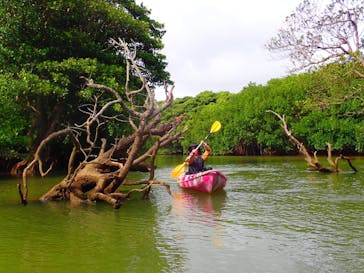 石垣島 ADVENTURE PiPi（イシガキジマアドベンチャーピピ）に投稿された画像（2024/10/25）