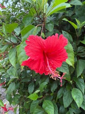 おきなわワールドに投稿された画像（2024/10/25）