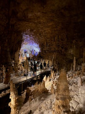 おきなわワールドに投稿された画像（2024/10/25）