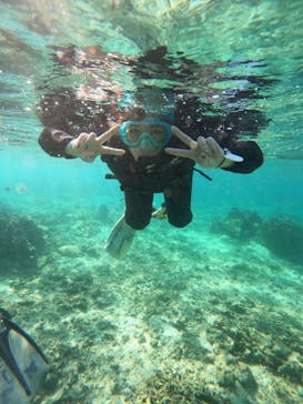 沖縄ダイビング ピンクマーメイドに投稿された画像（2024/10/26）