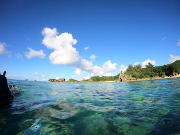 沖縄ダイビング ピンクマーメイドに投稿された画像（2024/10/26）