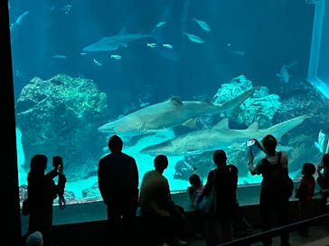 マリンワールド海の中道に投稿された画像（2024/10/26）