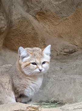 那須どうぶつ王国に投稿された画像（2024/10/26）