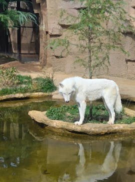 那須どうぶつ王国に投稿された画像（2024/10/26）