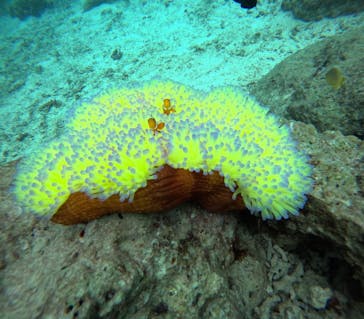 マリンクラブジジに投稿された画像（2024/10/26）