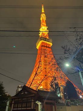 東京タワーに投稿された画像（2024/10/26）