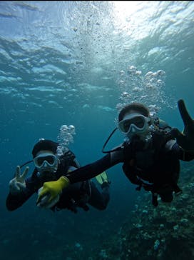 武藤潜水に投稿された画像（2024/10/26）