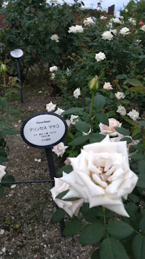 ひらかたパークに投稿された画像（2024/10/26）