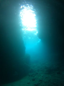 武藤潜水に投稿された画像（2024/10/26）