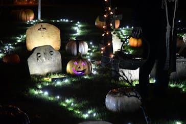 横浜イングリッシュガーデンに投稿された画像（2024/10/26）