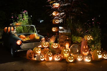 横浜イングリッシュガーデンに投稿された画像（2024/10/26）