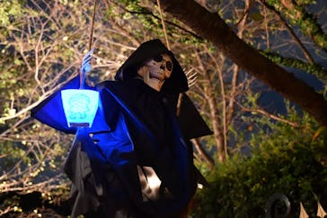 横浜イングリッシュガーデンに投稿された画像（2024/10/26）