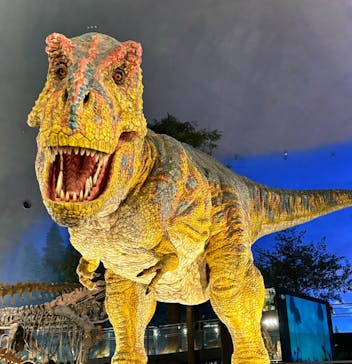 福井県立恐竜博物館に投稿された画像（2024/10/26）