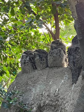 神戸どうぶつ王国に投稿された画像（2024/10/26）