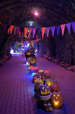 横浜イングリッシュガーデンに投稿された画像（2024/10/26）