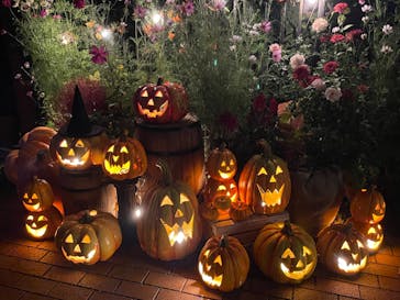 横浜イングリッシュガーデンに投稿された画像（2024/10/26）