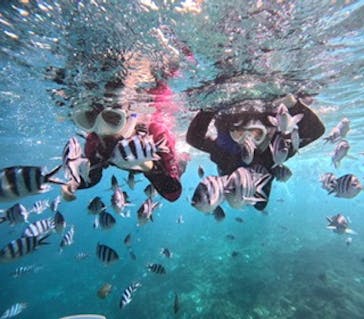 沖縄マリンサービス碧に投稿された画像（2024/10/26）