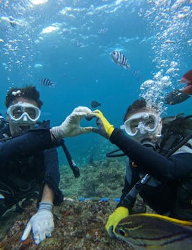 武藤潜水に投稿された画像（2024/10/26）