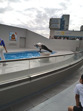 鴨川シーワールドに投稿された画像（2024/10/21）