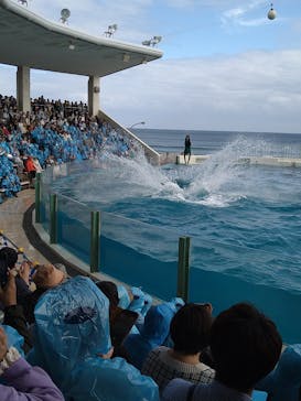 鴨川シーワールドに投稿された画像（2024/10/21）