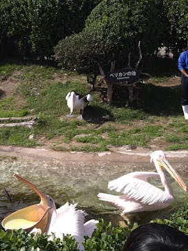 鴨川シーワールドに投稿された画像（2024/10/21）