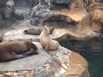 鴨川シーワールドに投稿された画像（2024/10/21）