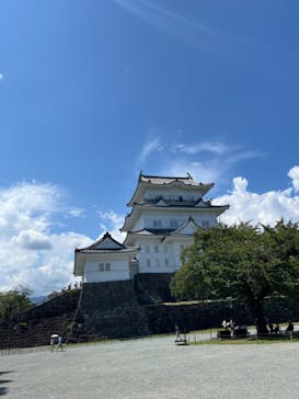 小田原城に投稿された画像（2024/10/26）