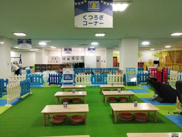 キッズランドUS 千葉柏店に投稿された画像（2024/10/26）