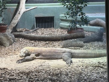名古屋市東山動植物園に投稿された画像（2024/10/26）